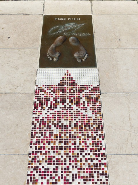 队的新外援 队的新外援