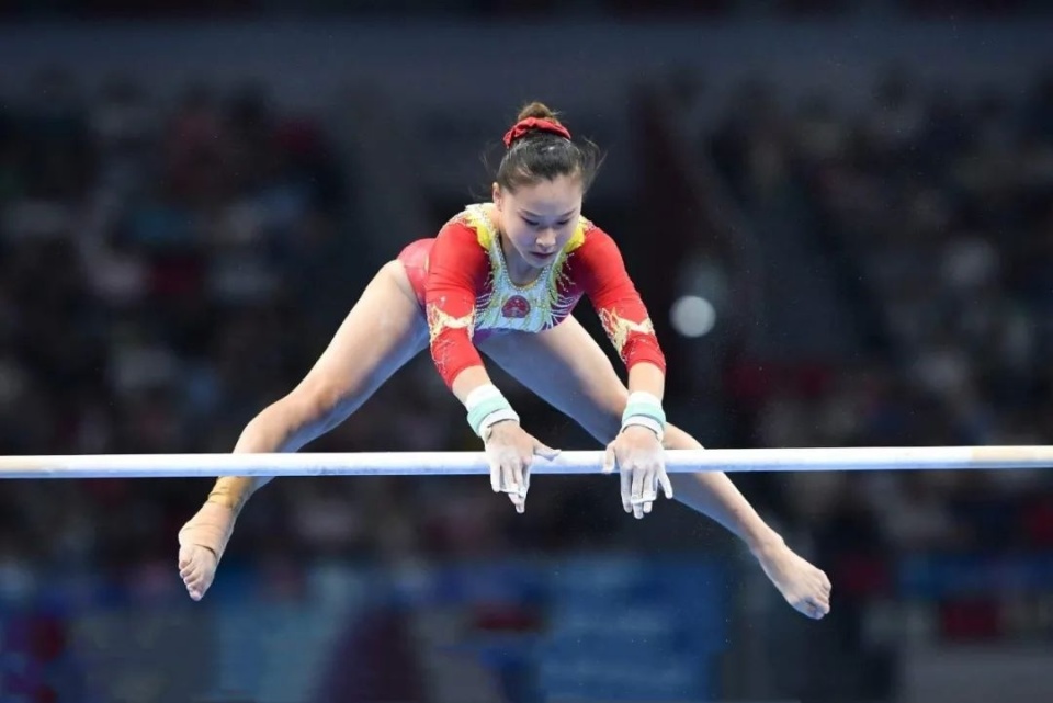 國家橄欖球 國家橄欖球