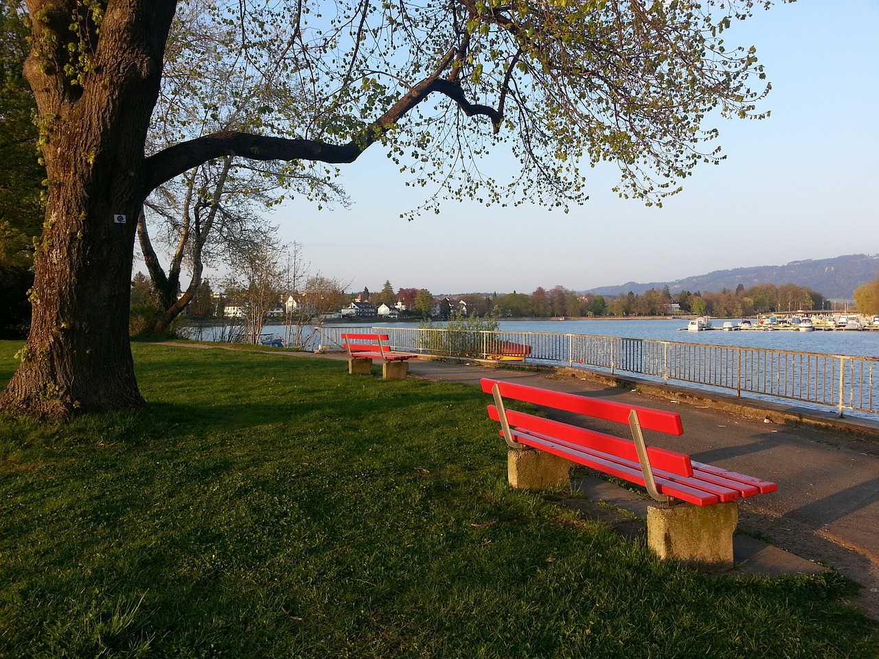 业足球队的 业足球队的