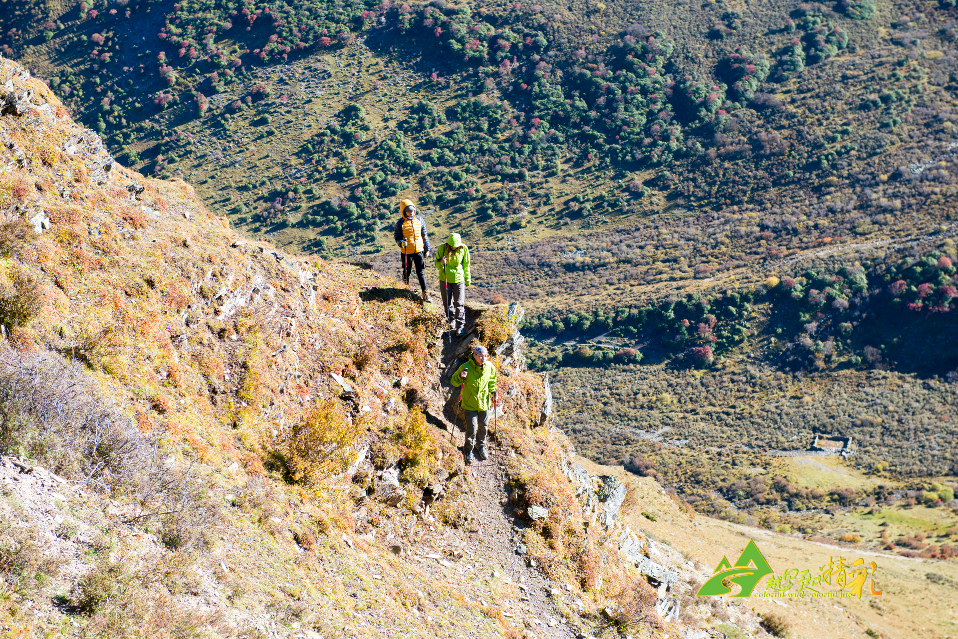 他出色的技 他出色的技