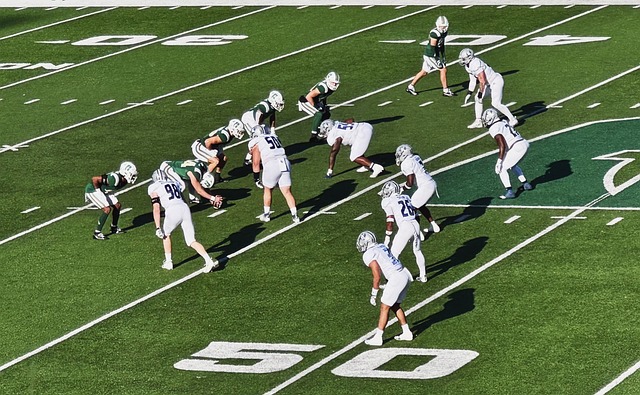 能以这种方 能以这种方