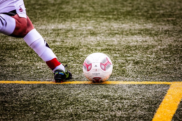 培育与推广 培育与推广